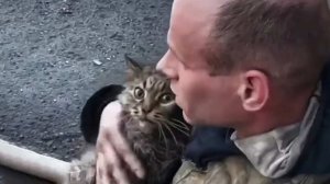 Спасатель откачал двух пострадавших в пожаре котов в Тюмени