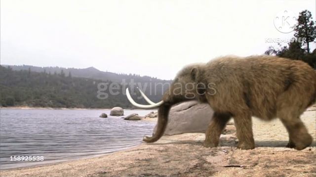 Mammoths hunted for their Hides