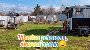 Сад просыпается.Прогулка по саду.Как чувствуют себя растения