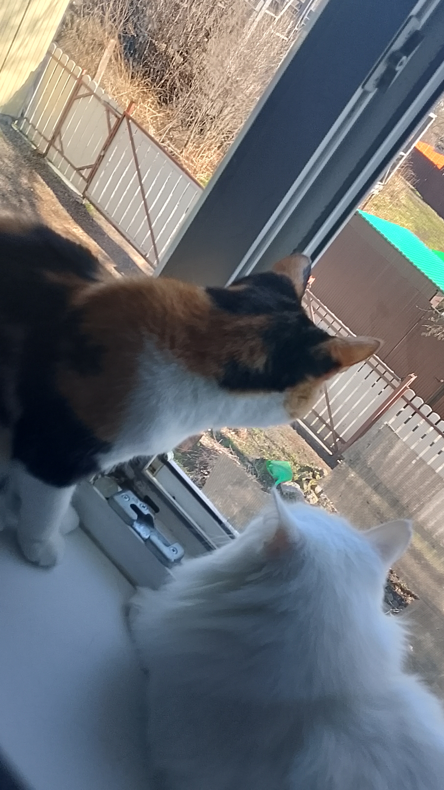 тренд с подругой: насколько хорошо мы знаем друг друга