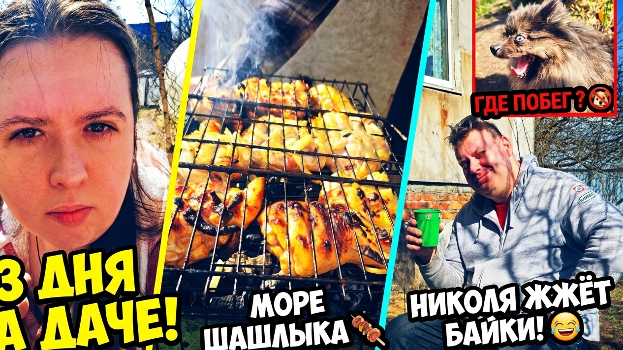 ШАШЛЫКИ 2026: Нам попался ГИГАНТСКИЙ уголь!  Такого в пачках мы ещё не видели.