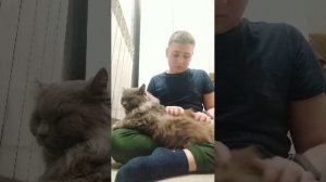 выполняю задания которые напишут в чате