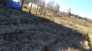 Планы на огород