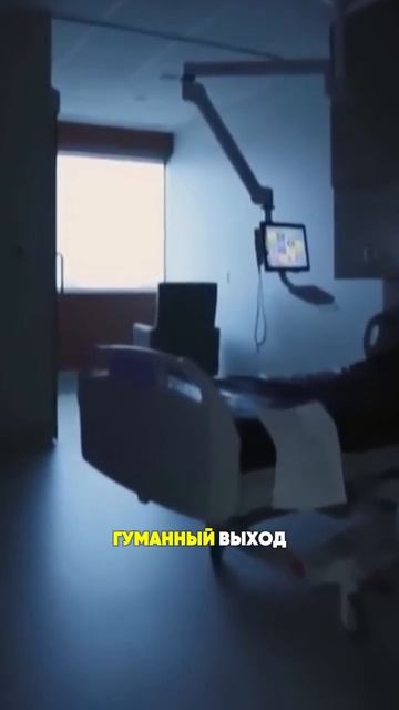 Эвтаназия: когда бедность - диагноз.