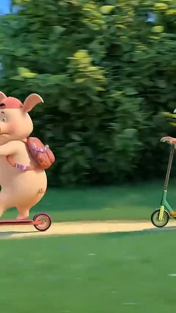 Кто разозлил свинку?! 🐷😠