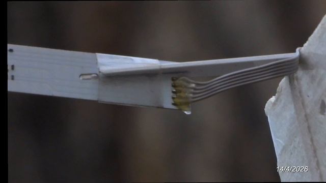 2026414: Находка в зареченском лесу: аэрологический радиозонд на тросе на высоте 5-6 м над землёй