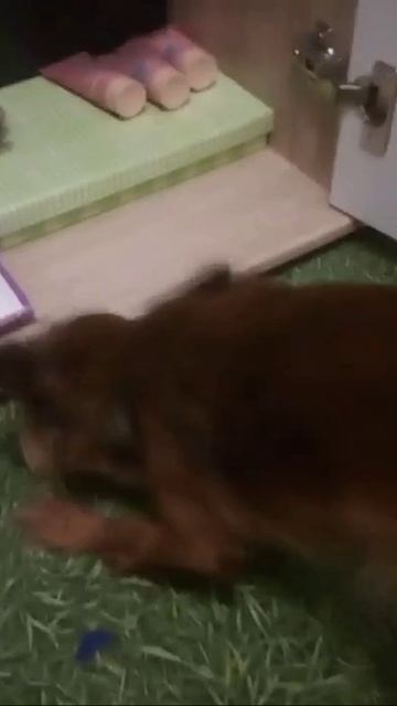 Симона отыскала крем