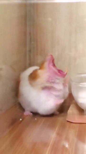 Просыпаемся правильно