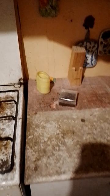 Святое семейство в коммуналке. Помогите оттуда уехать! Сб 5336690144598952