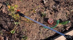 Обзор сада | первая обработка эпином