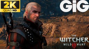 Ведьмак 3 - Последняя просьба