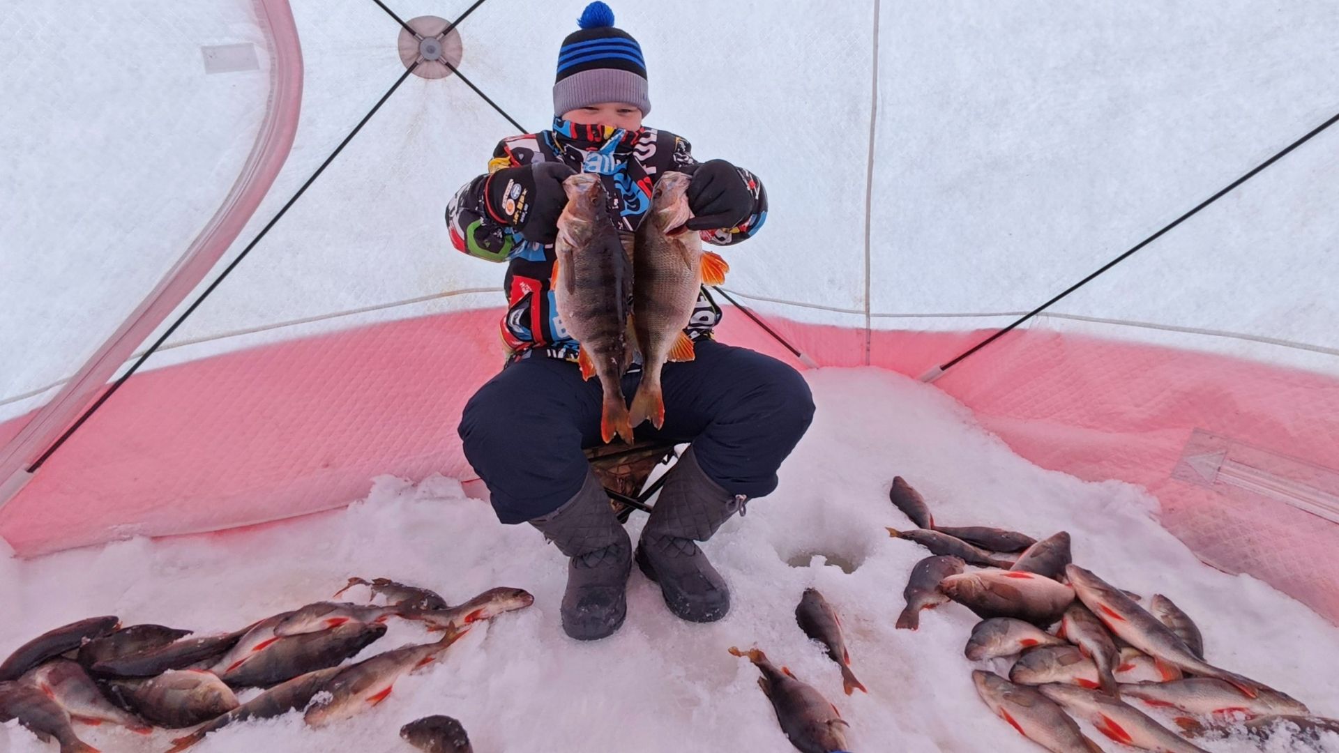 Ловим окуней с Мишкой.
