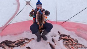 Ловим окуней с Мишкой.