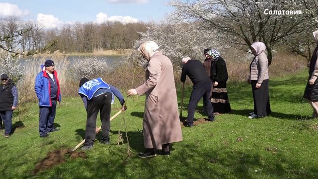 «Весенняя неделя добра» — ежегодная общероссийская добровольческая акция
