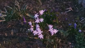 1000 просмотров