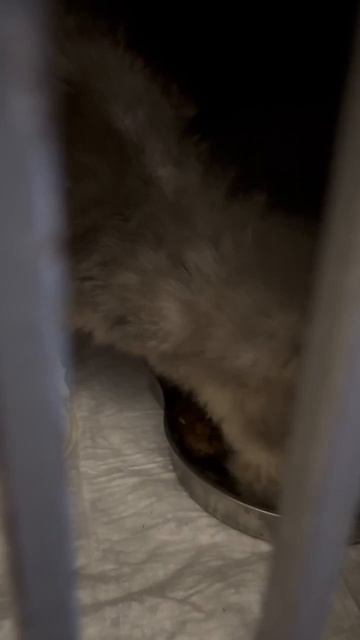 Новости о Тёме неутешительные.  Но ТЁМА БОРЕТСЯ!❗️❗️❗️   После осмотра врача и получения результатов