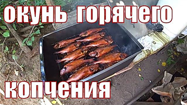 ОКУНЬ ГОРЯЧЕГО КОПЧЕНИЯ.