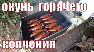 ОКУНЬ ГОРЯЧЕГО КОПЧЕНИЯ.