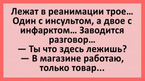 Анекдоты | Лежат в реанимации трое, заводится разговор... | Анекдоты смешные | Юмор