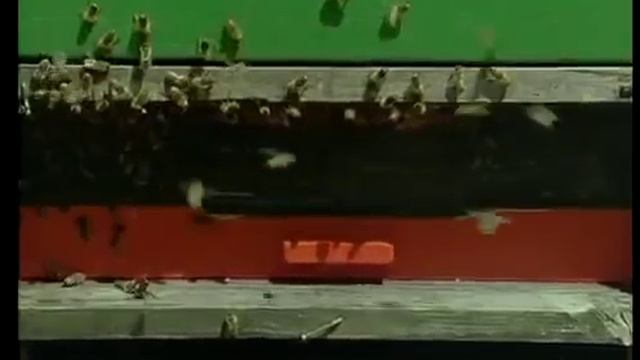 Ротационное разведение пчел в Германии