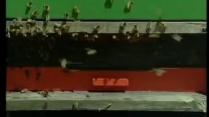 Ротационное разведение пчел в Германии