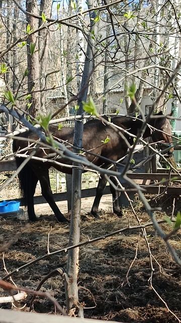 А у нас обед