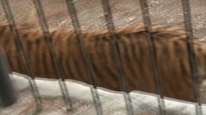 94)ГЕЛЕНЖИК САФАРИ ПАРК(2015 ГОД)