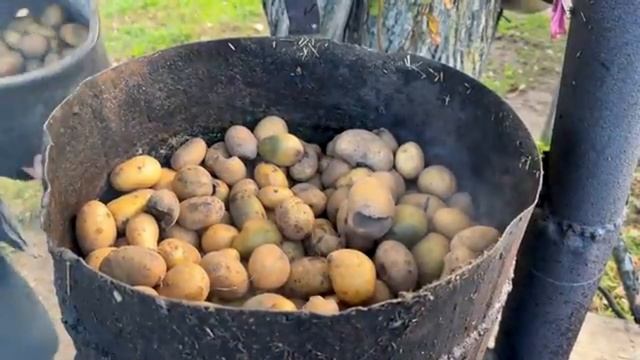 Автономная жизнь на украинской ферме. Домашняя молочная продукция. Сбор урожая.