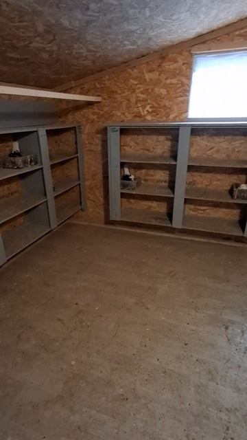 1000008996.mp4 головатые.