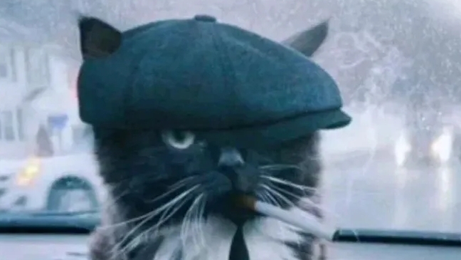 газан бархатные тяги