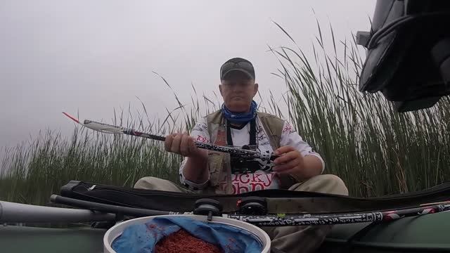 Заплыла в камыши  и наловила! Зеркальный порадовал на поплавок - перо!