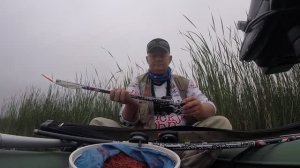 Заплыла в камыши  и наловила! Зеркальный порадовал на поплавок - перо!