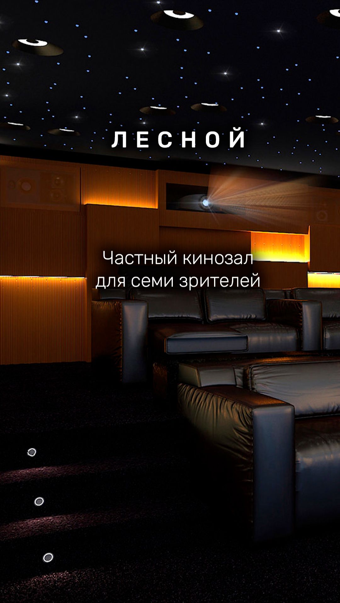 Персональный кинозал "Лесной", г. Новосибирск