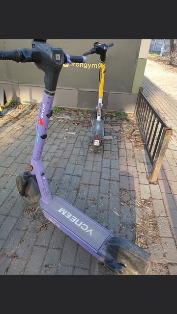 мой весенний вайб