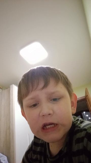 Шип: Кот филлус и его друзейТимофей