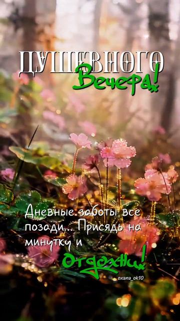 #добрыйвечер