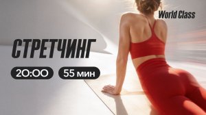 СТРЕТЧИНГ с Еленой Жиляевой | 19 апреля 2026 | Онлайн-тренировки World Class