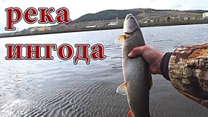Рыбалка в Забайкалье на реке Ингода.