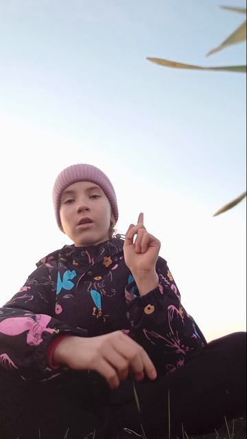 Пока урипипаста привет травница