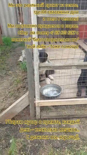 НАС107=106хвостиков  +1человек!  .