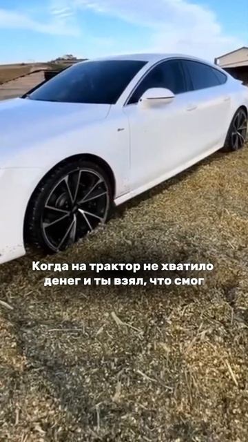 #кормозаготовка #фермерство #зоотехния #сенаж #крс #животноводство #молочноеживотноводство #апк