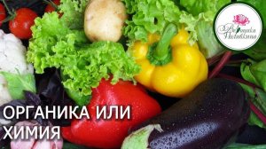 Органика или химия