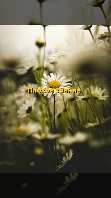 Если снижается зрение