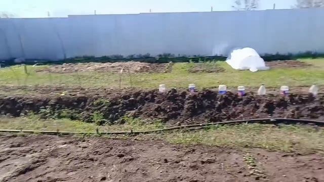 24. April 2025 Крым.Немного приболела, у нас просыпаюся змеи.