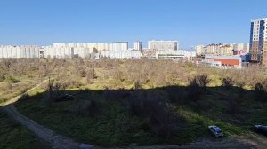 Страдания по полю у дома😁