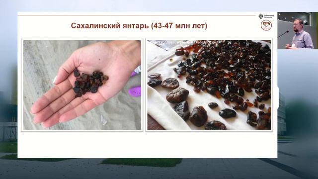 Шестая Всероссийская научная конференция ПРАКТИЧЕСКАЯ МИКРОТОМОГРАФИЯ. День 3