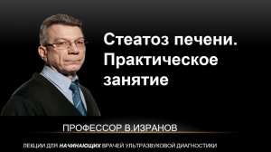 Стеатоз печени. Практическое занятие с ординаторами