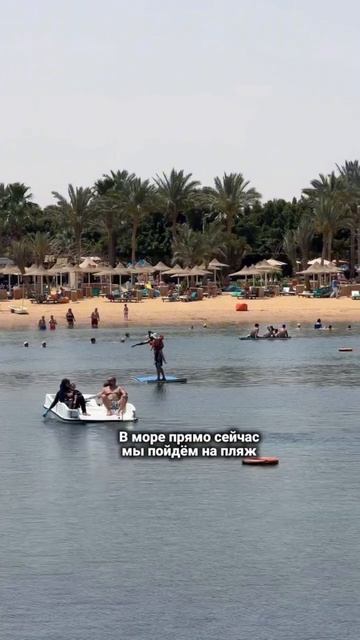 16 апреля в Египте 