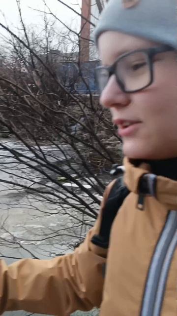 SCP-Тетаник_тележка