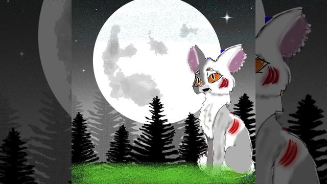 Задавайте любые вопросики???📲 В следующем видео буду на них отвечать